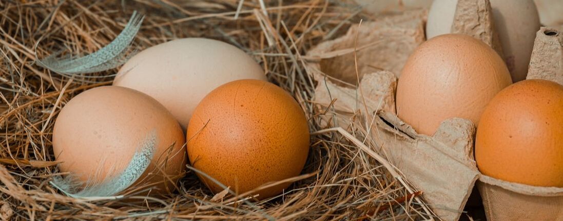 Three eggs laying in hay on the left of two eggs in an egg carton. Eggs range from light brown to pale in color.